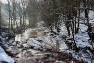 Winter River